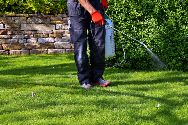 Professional Pest Control in Broomfield, CO